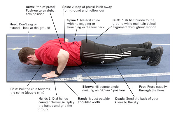 The Beginner's Guide to Performing a Proper Push-Up