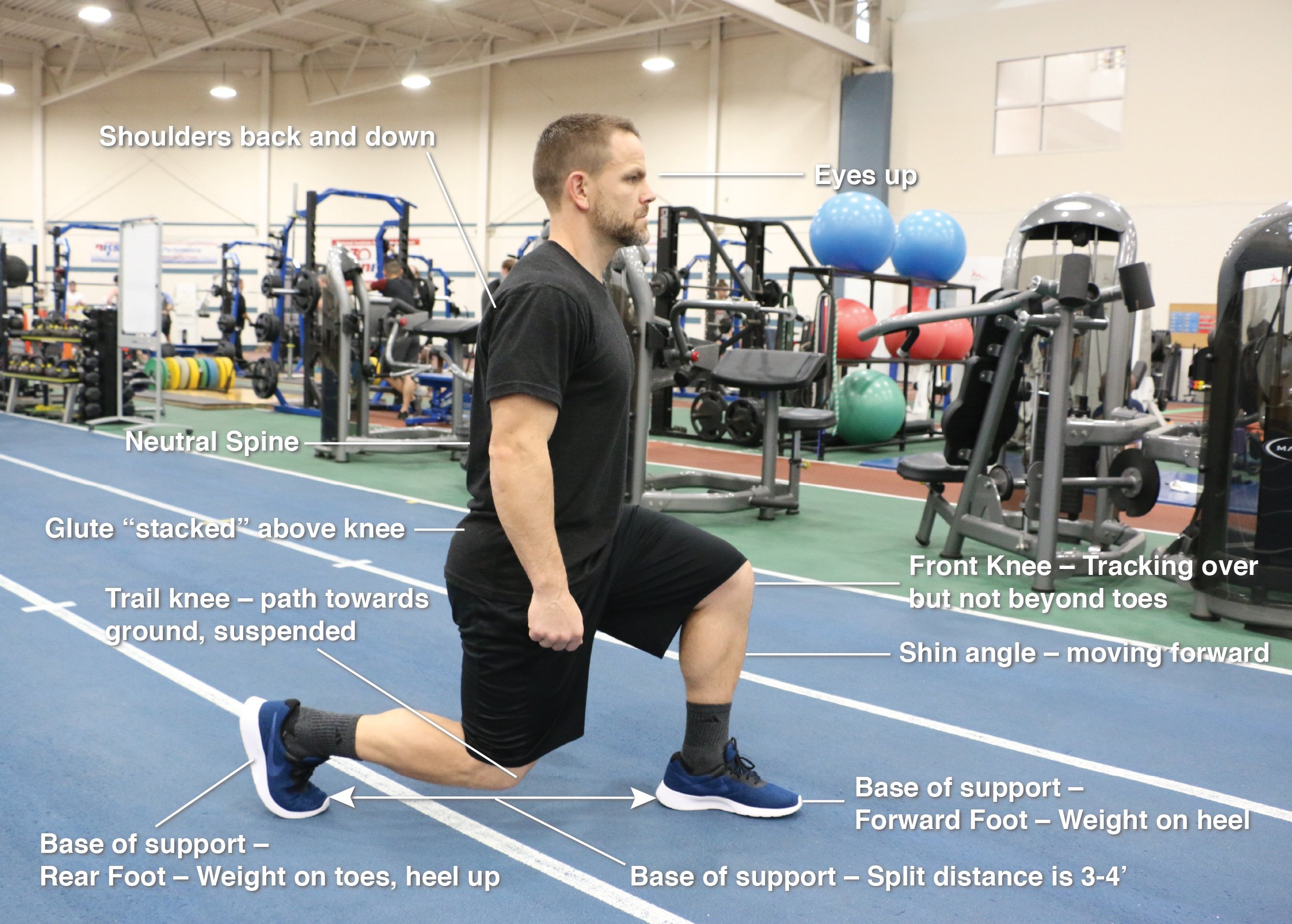 Back To Exercise Basics: The Split Squat